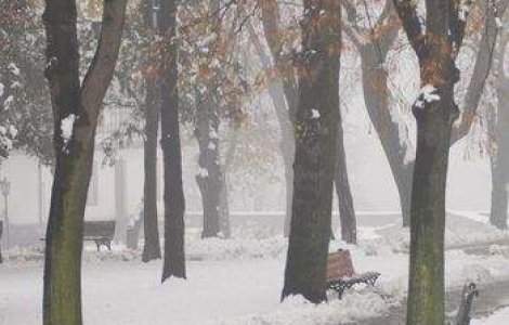 Bucuresti: Zonele cu probleme din cauza zapezii si a poleiului