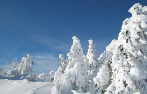 Cand spui vacanta de iarna spui vacanta la ski!