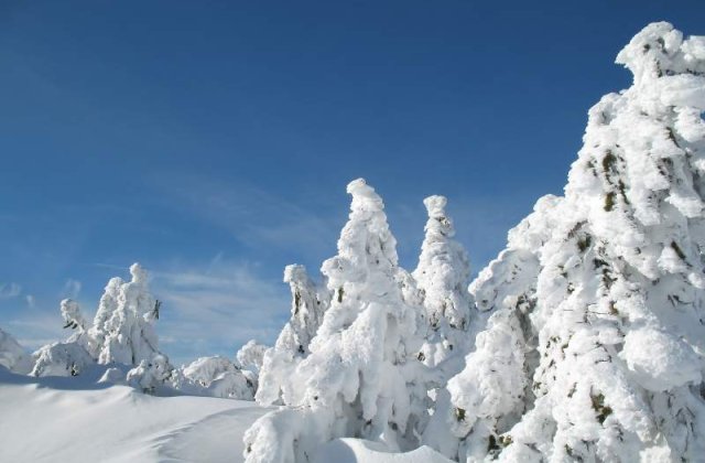 Cand spui vacanta de iarna spui vacanta la ski!
