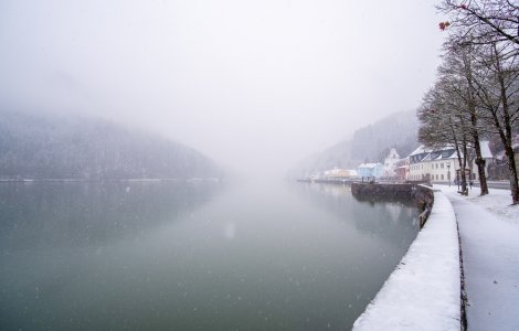 VIDEO: Un cățel a fost salvat de pompieri din apele înghețate ale râului Târnava