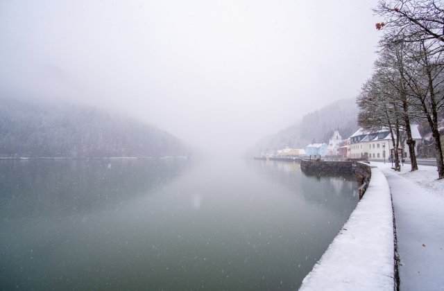 VIDEO: Un cățel a fost salvat de pompieri din apele &icirc;nghețate ale r&acirc;ului T&acirc;rnava