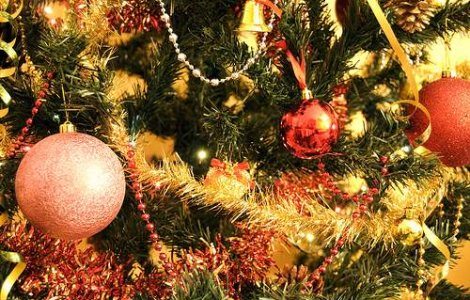 Salveaza-ti bradutul de Craciun!