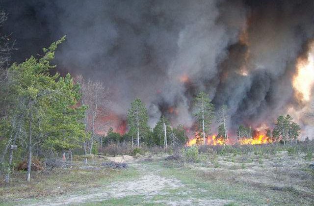 Incendii de vegetatie in Colorado: Mii de oameni