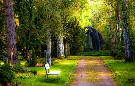 Primăria Sectorului 5 cere administrarea a 357 de străzi şi 56 de spații verzi