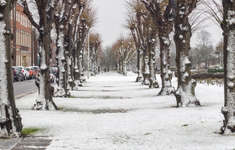 Se întoarce vremea rece începând cu săptămâna următoare!