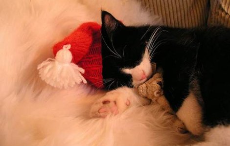 5 legende despre Craciun