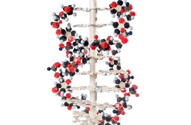 (P) Romanii nu au acces la tratamente inovatoare de ultima generatie oferite de Medicina Personalizata