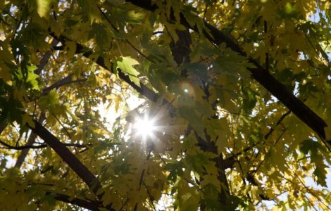 Meteo: Vremea se incalzeste in weekend