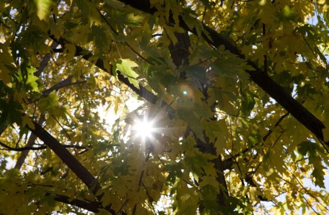 Meteo: Vremea se incalzeste in weekend