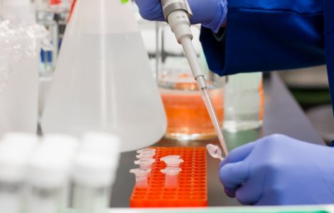 Bulgaria va face teste COVID-19 persoanelor care sosesc în țară