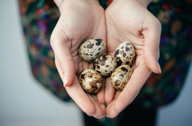 Un meniu diversificat: 3 beneficii ale oului de prepeliță