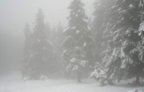 Temperaturile foarte scazute aduc mizerie si moarte in Europa