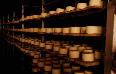 Fabrica Napolact din Cluj va fi inchisa