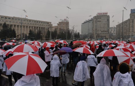 Membrii Consiliului Federaţiei SANITAS protestează luni în fața Guvernului