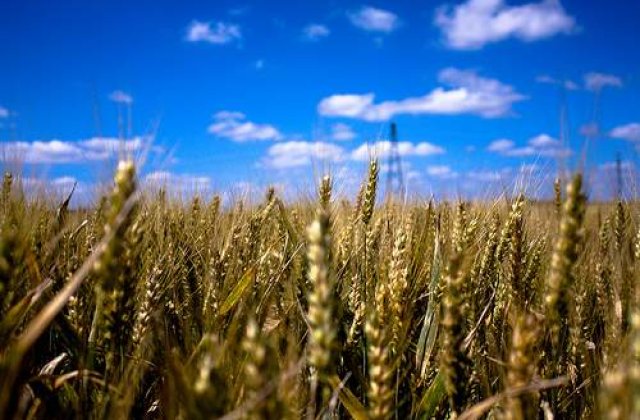 Noul ministru al agriculturii, nemultumit de buget