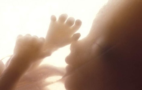 Motiv pentru a te opune avortului: "Fetusii se pot masturba"