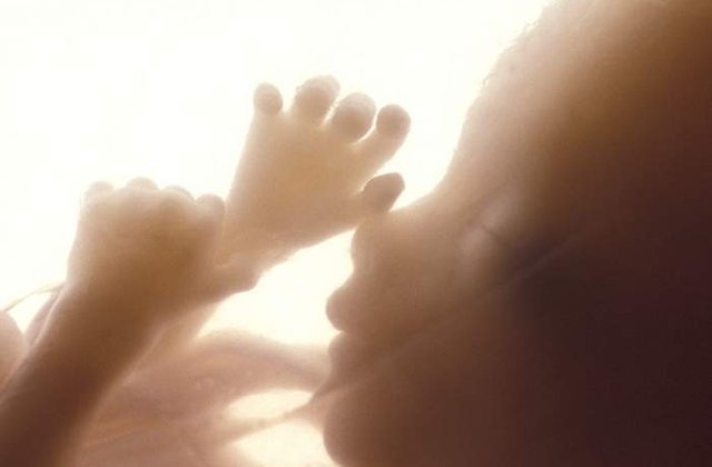 Un senator american se opune avortului pentru ca "fetusii se pot masturba"