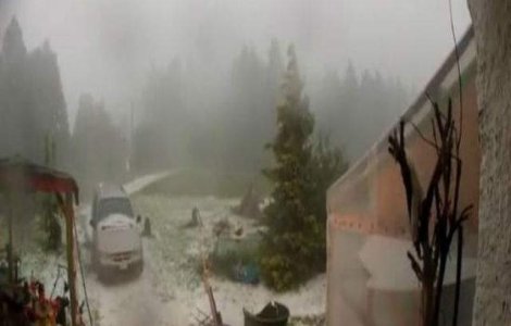 Furtuna violenta in Elvetia: Traficul aerian, perturbat