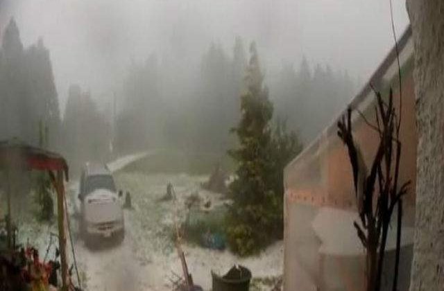 Furtuna violenta in Elvetia: Vantul puternic a perturbat traficul aerian si feroviar