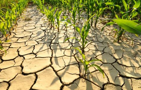 Fondurile mutuale, aparare contra pierderilor determinate de seceta si grindina