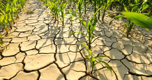 Fondurile mutuale, aparare contra pierderilor determinate de seceta