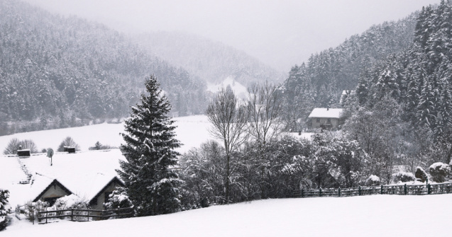 ANM: Ninsori și polei în aproape toate regiunile țării, până duminică