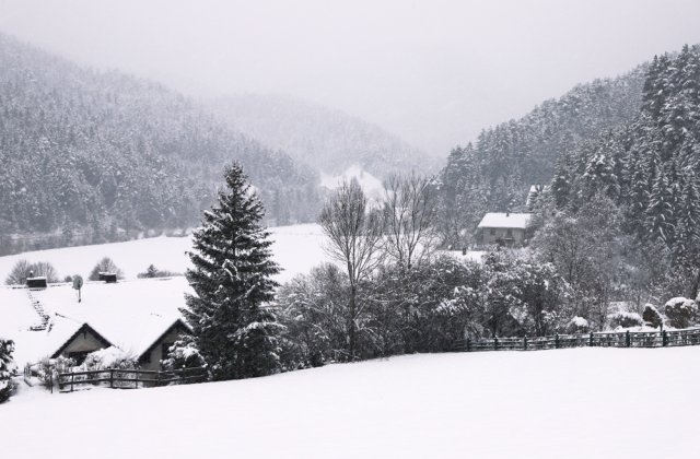 Informare meteo: Ninsori și polei în aproape toate regiunile țării, până duminică