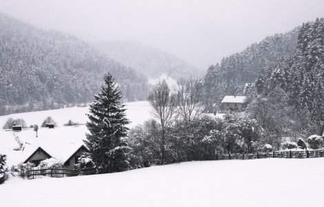 Informare meteo: Ninsori și polei în aproape toate regiunile țării, până duminică