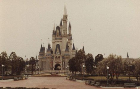 Ceausescu a vrut sa faca Disneyland in Parcului Tineretului