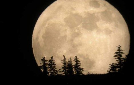 De la ce ora va fi vizibil fenomenul SuperLuna pe cerul din Romania