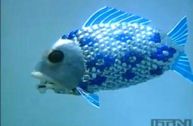 Pestii-robot ne invata despre viata subacvatica