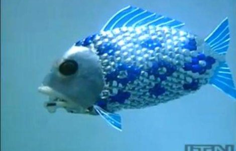 Pestii-robot ne invata despre viata subacvatica