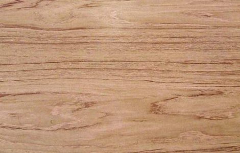 Cum transforma italienii lemnul in oase