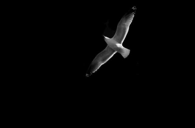 Miercuri va fi zi de DOLIU national. Ce stim despre victimele accidentului din Muntenegru?