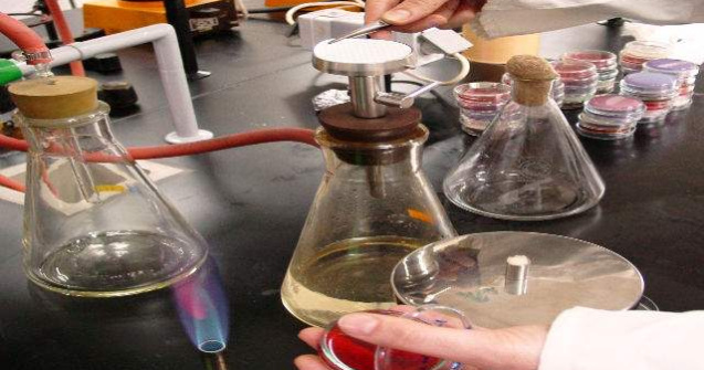 Primul parc stiintific din Romania va fi infiintat la Cluj