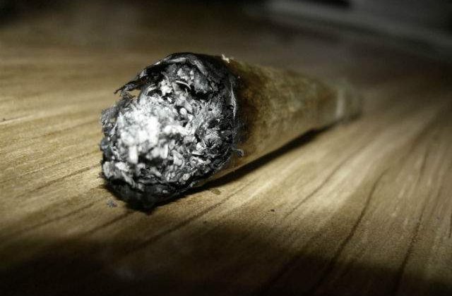 Lista etnobotanicelor a fost completata cu 30 produse