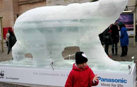  Video  Ursul de gheata: Un semnal de alarma asupra incalzirii globale