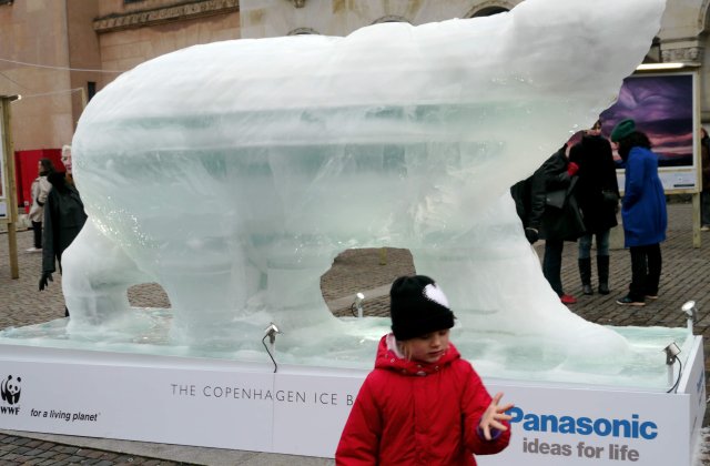 [VIDEO] Ursul de gheata: Un semnal de alarma asupra incalzirii globale