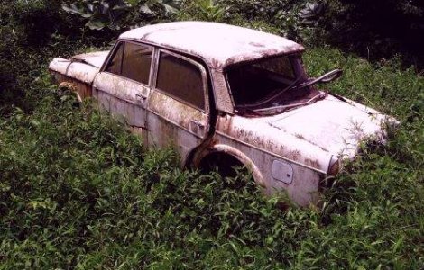 Rabla: Firmele ar putea lua pana la 10 tichete valorice pe an