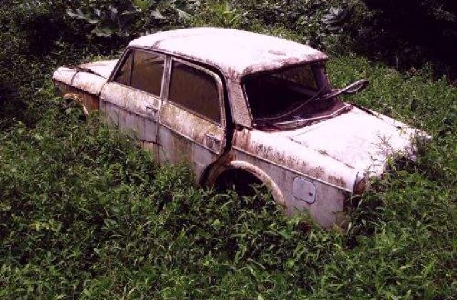 Rabla: Firmele ar putea lua pana la 10 tichete valorice pe an