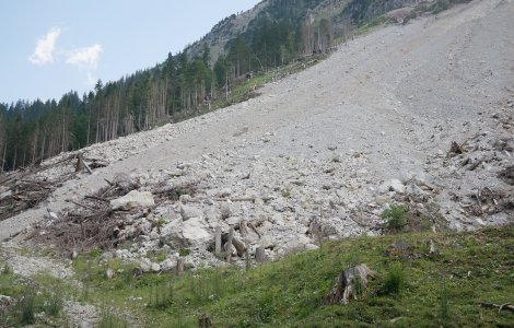 Indonezia: 20 de persoane sunt date dispărute în urma unei alunecări de teren