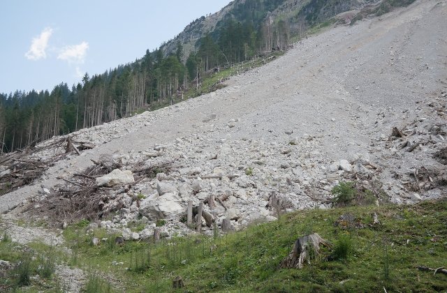 Indonezia: Cel puţin 20 de persoane sunt date dispărute în urma unei alunecări de teren