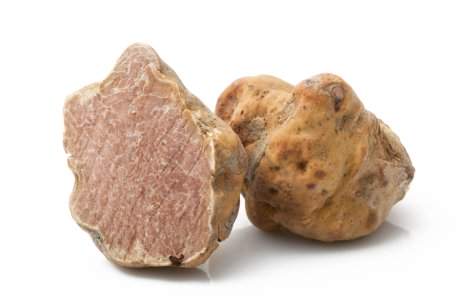 Trufa albă de Italia va fi produsă de acum și în Franța