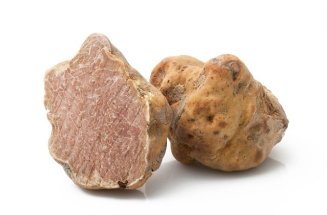 Trufa albă de Italia va fi produsă de acum și &icirc;n Franța
