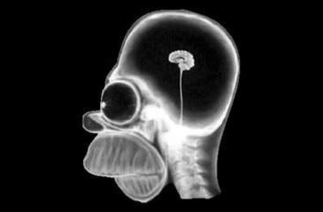 A ajuns la spital cu un betisor in creier