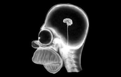 A ajuns la spital cu un betisor in creier