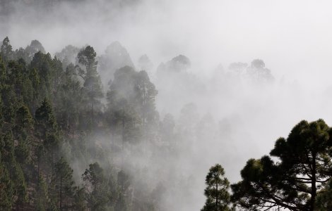 Meteo: Cod galben de ceață pentru cinci județe