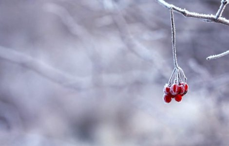 Europa se confrunta in continuare cu temperaturi extrem de scazute si cu ninsori abundente