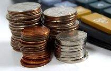 Dupa "lupte crancene": Bugetul pe 2010, adoptat de comisiile de finante