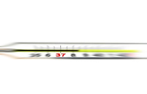 Romania: Bilantul total al victimelor gripei porcine a ajuns la 85